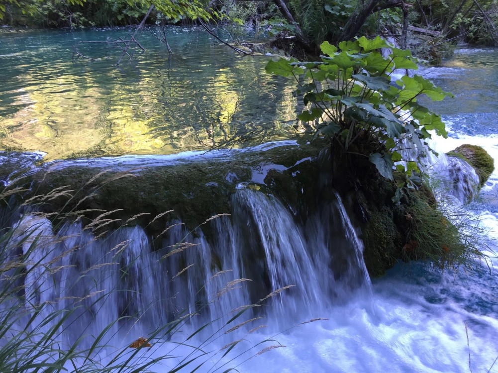 Plitvice söar  naturliga dammar